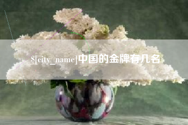 石嘴山中国的金牌有几名