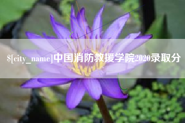 石嘴山中国消防救援学院2020录取分
