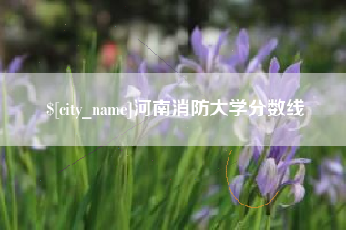 石嘴山河南消防大学分数线