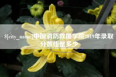 石嘴山中国消防救援学院2019年录取分数线是多少