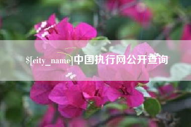 石嘴山中国执行网公开查询