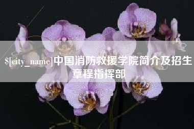 石嘴山中国消防救援学院简介及招生章程指挥部