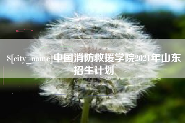 石嘴山中国消防救援学院2021年山东招生计划