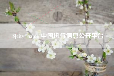 石嘴山中国执行信息公开平台