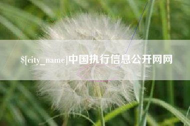石嘴山中国执行信息公开网网