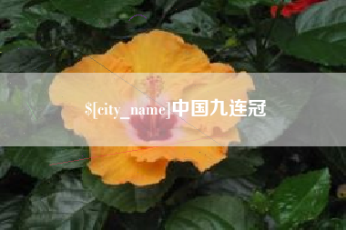 石嘴山中国九连冠
