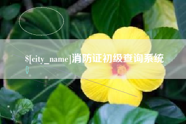 石嘴山消防证初级查询系统