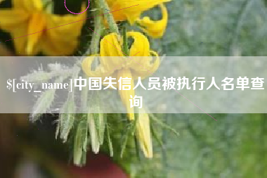 石嘴山中国失信人员被执行人名单查询