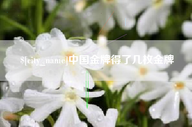 石嘴山中国金牌得了几枚金牌