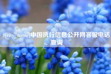 石嘴山中国执行信息公开网客服电话查询