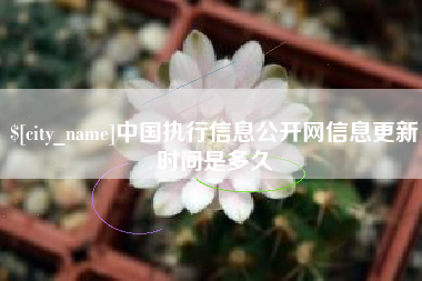 石嘴山中国执行信息公开网信息更新时间是多久