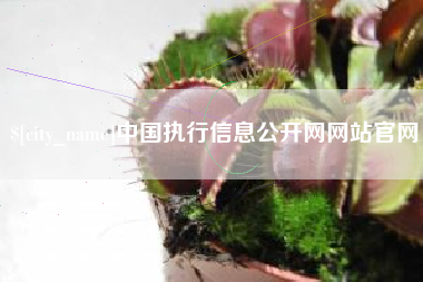 石嘴山中国执行信息公开网网站官网