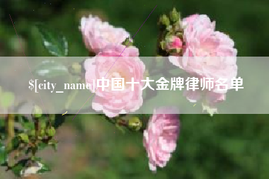 石嘴山中国十大金牌律师名单
