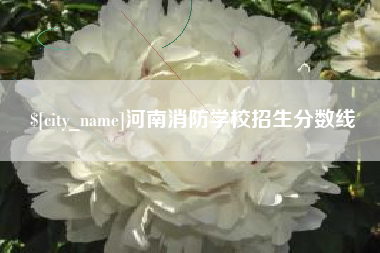 石嘴山河南消防学校招生分数线