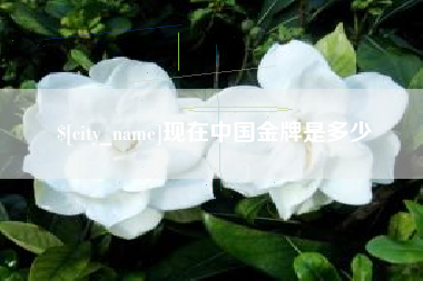 石嘴山现在中国金牌是多少