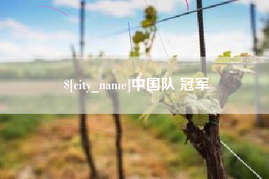 石嘴山中国队 冠军