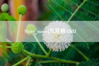 石嘴山九宫格42633