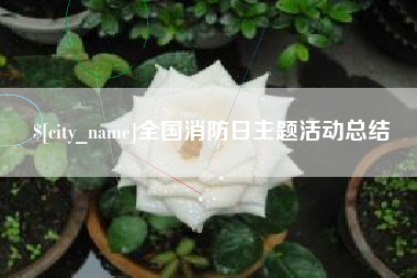 石嘴山全国消防日主题活动总结