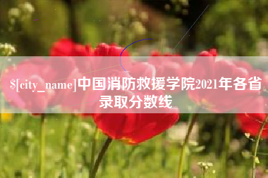 石嘴山中国消防救援学院2021年各省录取分数线