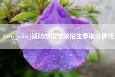 石嘴山消防救援学院招生录取分数线