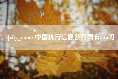 石嘴山中国执行信息公开网有app吗