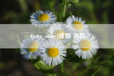 石嘴山成都 消防
