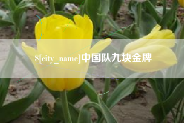 石嘴山中国队九块金牌