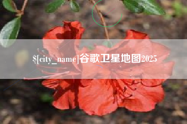 石嘴山谷歌卫星地图2025