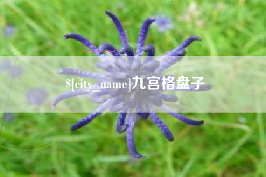 石嘴山九宫格盘子