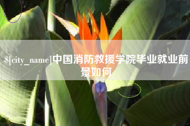 石嘴山中国消防救援学院毕业就业前景如何