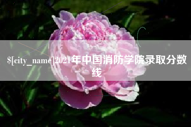 石嘴山2021年中国消防学院录取分数线