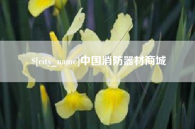 石嘴山中国消防器材商城