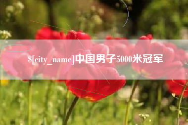 石嘴山中国男子5000米冠军