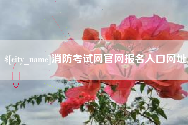 石嘴山消防考试网官网报名入口网址