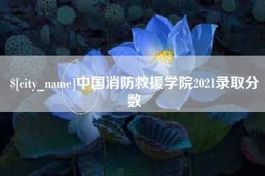 石嘴山中国消防救援学院2021录取分数