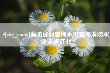 石嘴山消防官网查询系统查询消防职业资格证书
