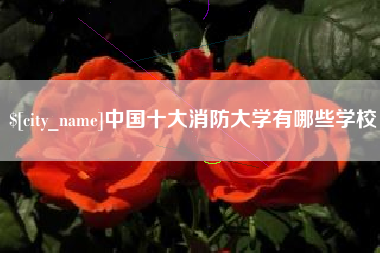 石嘴山中国十大消防大学有哪些学校