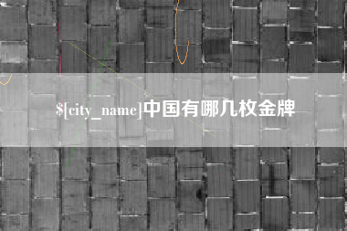 石嘴山中国有哪几枚金牌
