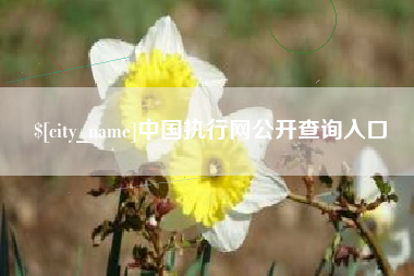 石嘴山中国执行网公开查询入口