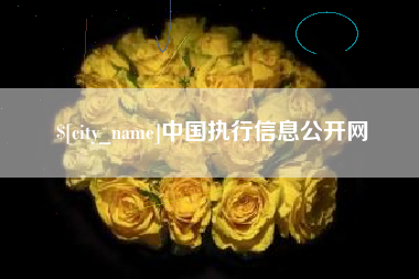 石嘴山中国执行信息公开网