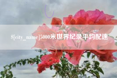 石嘴山5000米世界纪录平均配速