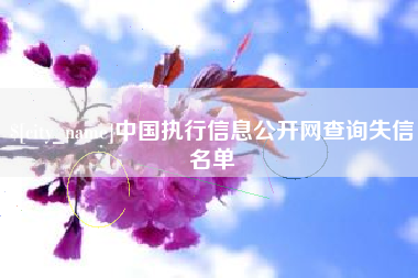 石嘴山中国执行信息公开网查询失信名单