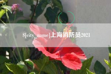 石嘴山上海消防员2021