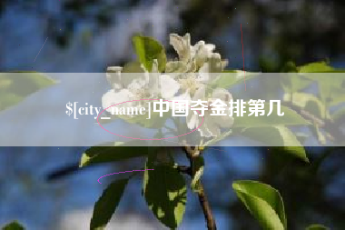 石嘴山中国夺金排第几