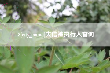 石嘴山失信被执行人杳询