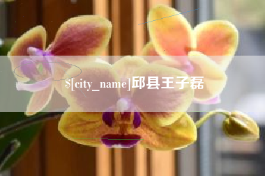 石嘴山邱县王子磊