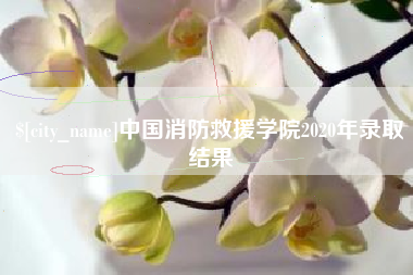 石嘴山中国消防救援学院2020年录取结果