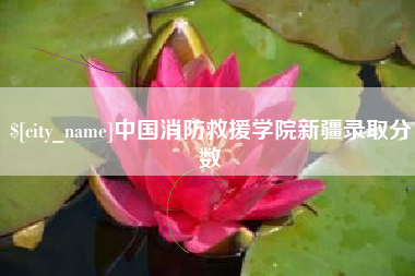 石嘴山中国消防救援学院新疆录取分数