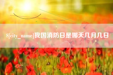 石嘴山我国消防日是哪天几月几日