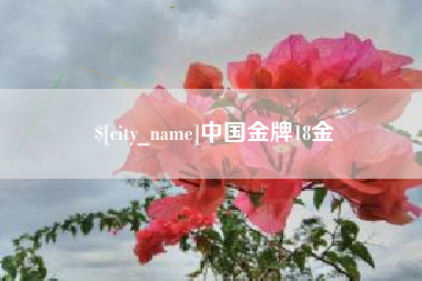 石嘴山中国金牌18金